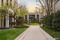 整冠移本也是相当的高